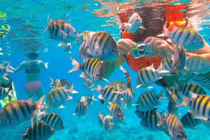 Clear Boat at Cozumel Island! Round Transportation From Playa Del Carmen - Practical Details and What You Need to Know
