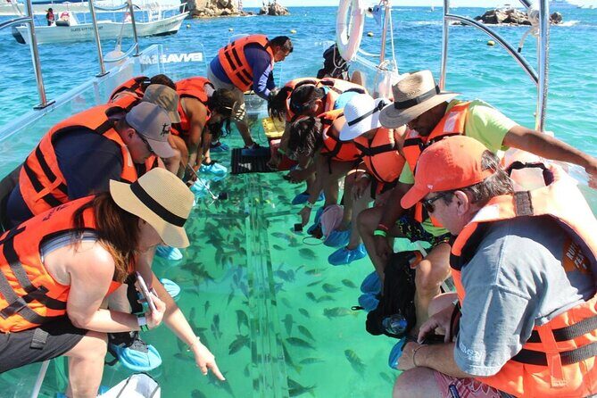 Clear Boat Ride in Los Cabos - An Introduction to the Transparent Boat Tour