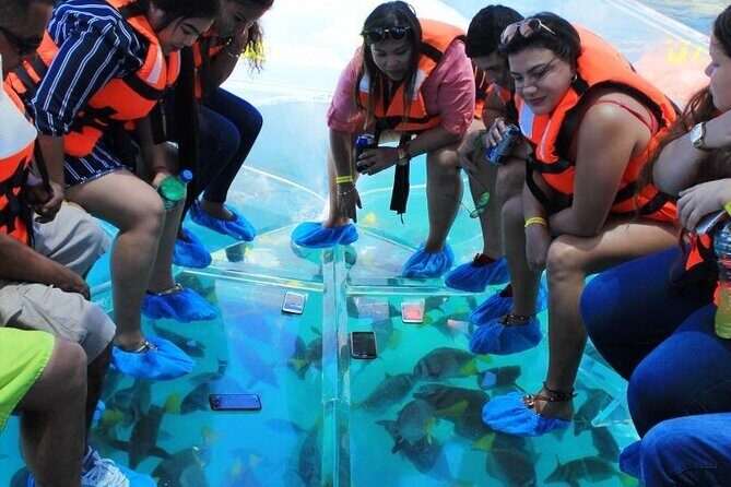 Clear Boat Ride in Los Cabos - The Experience: What It Feels Like