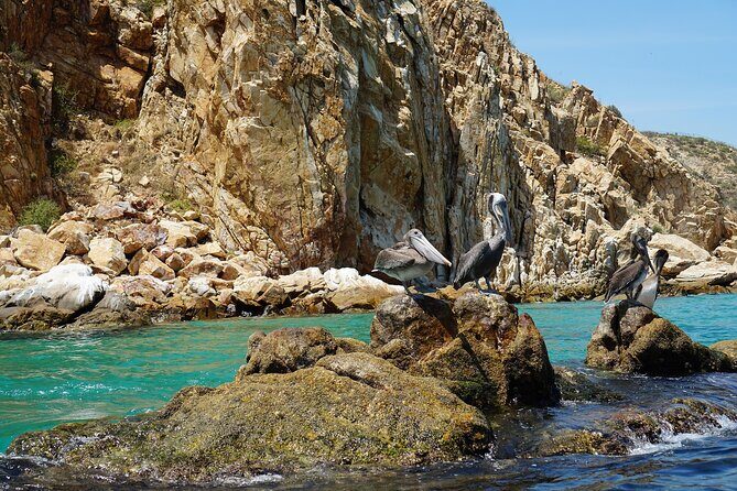 Clear Boat Ride in Los Cabos - Practical Tips for a Smooth Experience