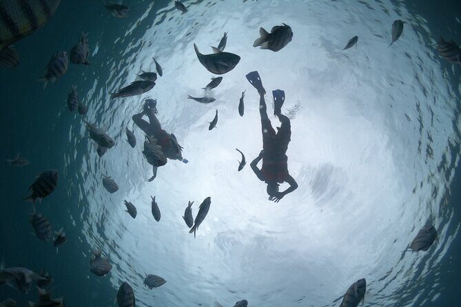 Clear Boat & Snorkel Cozumel Tour with Drinks - An In-Depth Look at the Tour Experience