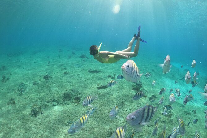 Clear Boat & Snorkel Cozumel Tour with Drinks - Final Thoughts