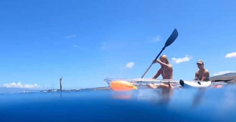 Clear Bottom Glassy Kayak Rental | Safe and Stable Kayaks - Exploring Maui’s Underwater World—From Above