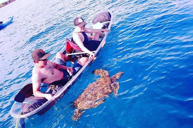 Clear Bottom Kayak and Snorkel Tour at Turtle Town, Makena - The Sum Up: Who Will Love This Tour?