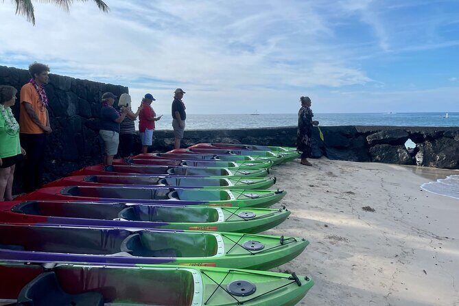 Clear Bottom Kayak Rentals in Kailua-Kona - Introduction to the Experience
