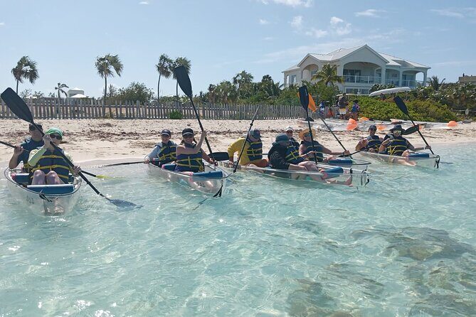 Clear Bottom Kayaks Mangrove Tour - An In-Depth Look at What Makes This Tour Stand Out