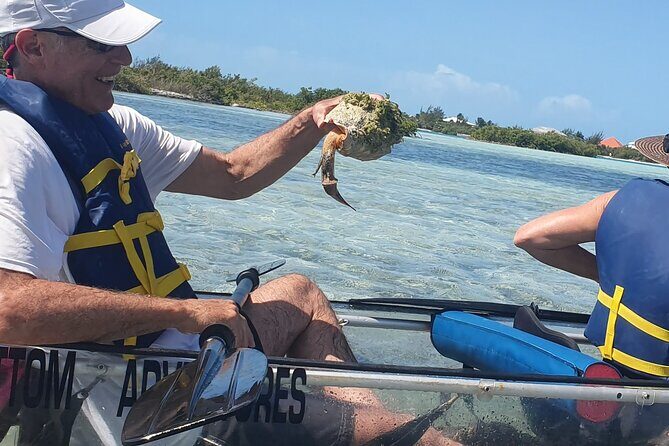 Clear Bottom Kayaks Mangrove Tour - Final Thoughts: Who Is This Tour Best For?