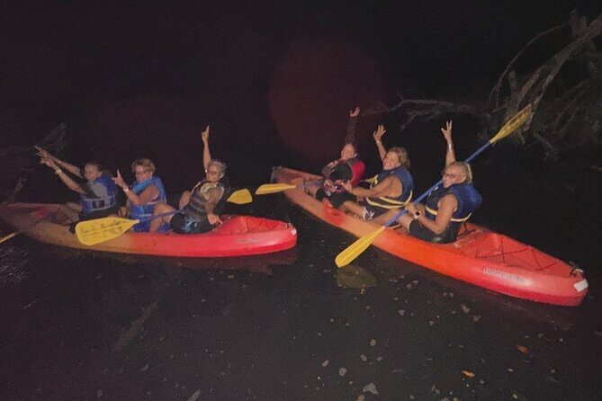CLEAR BOTTOM KAYAKS Tour in Bioluminescent, Mosquito Bay - The Full Experience: A Deep Dive