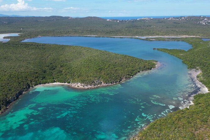 CLEAR BOTTOM KAYAKS Tour in Bioluminescent, Mosquito Bay - The Sum Up