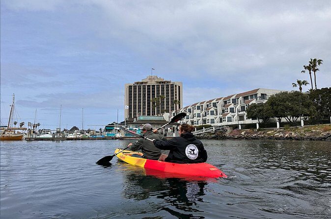 Clear Bottomed Kayak Rentals in San Diego - Reviews and Feedback