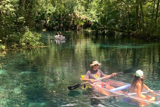 Clear Canoeing and Wildlife Sightseeing at Silver Springs - What the Reviews Reveal