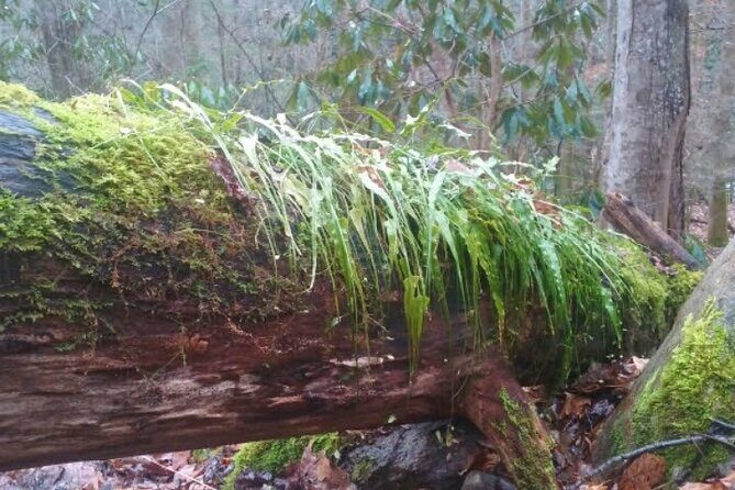 Clear Creek Falls Hike - Key Points