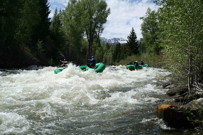 Clear Creek Whitewater Rafting Trip: Intermediate Level - Booking, Cost, and Practical Details