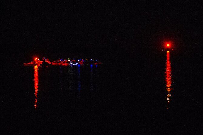 Clear Kayak Bioluminescence Tour - Cocoa Beach - Who Will Love This Tour?