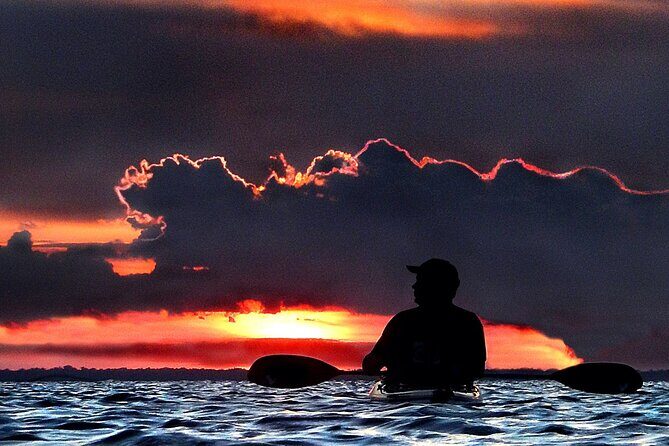 Clear Kayak Bioluminescence Tour - Cocoa Beach - FAQ