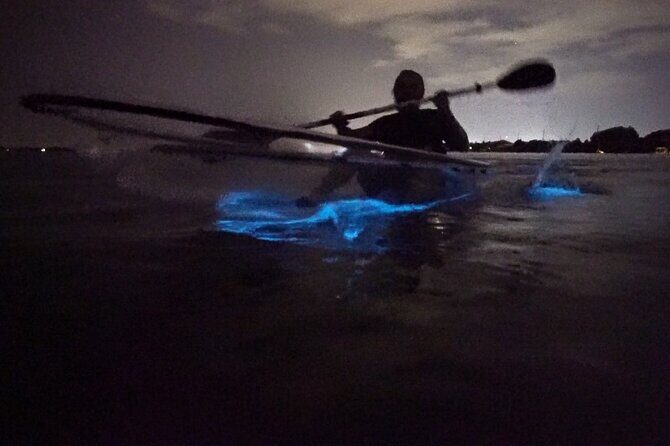 Clear Kayak Bioluminescence Tour - Key Points