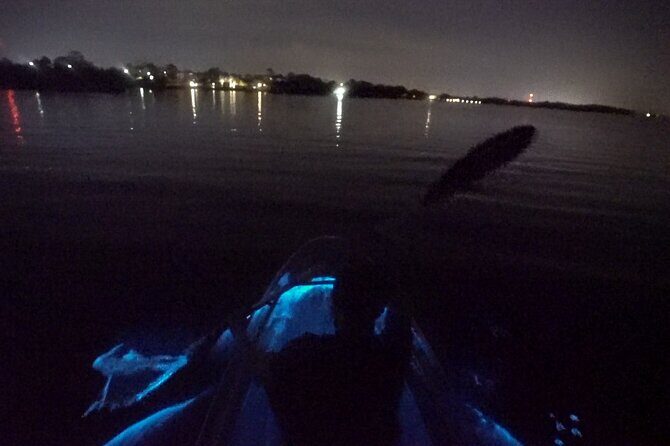 Clear Kayak Bioluminescence Tour - An In-Depth Look at the Experience