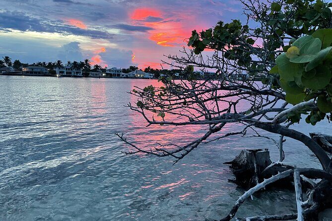 Clear Kayak Eco Tour in Jupiter, Florida - An In-Depth Look at the Tour Experience