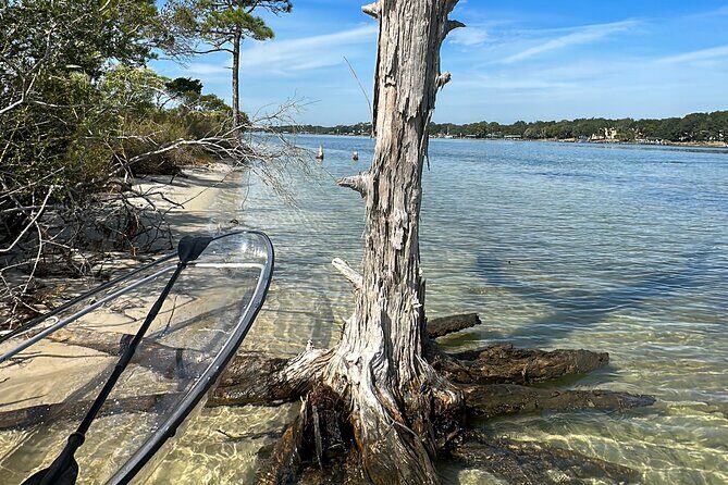 Clear Kayak Ecotour Destin Ft. Walton Beach - Analyzing the Experience: What Travelers Can Expect