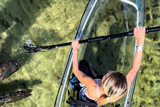 Clear Kayak Ecotour Destin Ft. Walton Beach - Who Should Book This Tour?