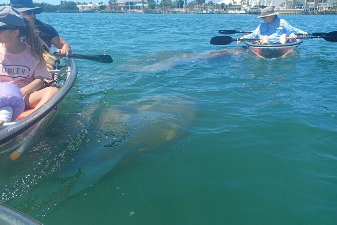 Clear Kayak Glass Bottom Day Tour - Sarasota - FAQ