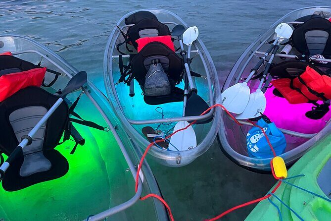 Clear Kayak Glow Tour - The Bottom Line: Who Will Love This Tour?