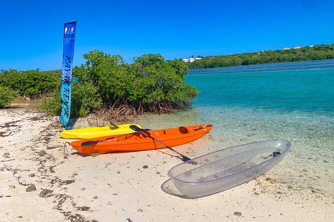 Clear kayak Grand Turk Island Kayak Tour of the mangroves - Reviews: What Real Travelers Say