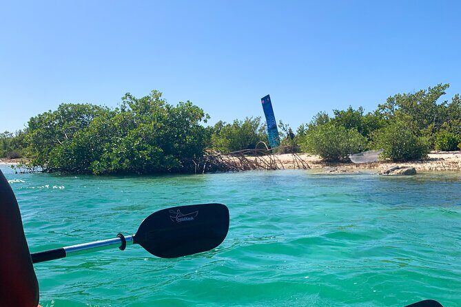 Clear kayak Grand Turk Island Kayak Tour of the mangroves - The Value and Who This Tour is For