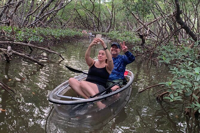 Clear Kayak Guided Eco Tour in North Naples - An In-Depth Look at the Experience