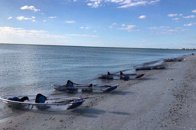 Clear Kayak Guided Eco Tour in North Naples - Authentic Experiences and Highlights