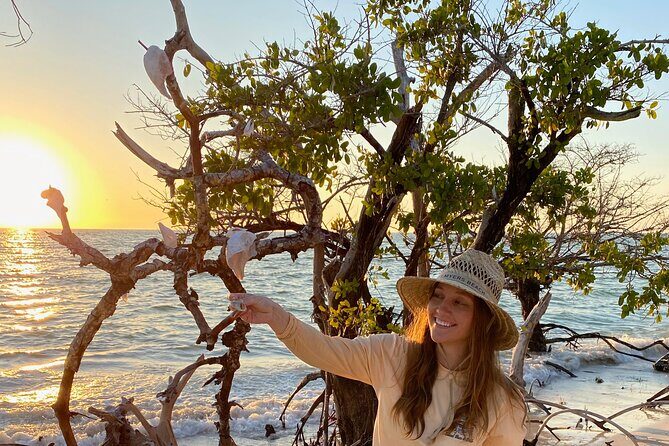 Clear Kayak Guided Eco Tour in North Naples - Practical Considerations