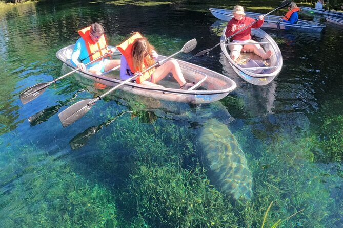 Clear Kayak Manatee Ecotour of Crystal River - A Deep Dive into the Experience