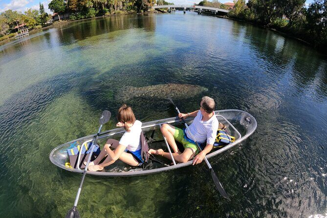 Clear Kayak Manatee Ecotour of Crystal River - Detailed Itinerary Breakdown