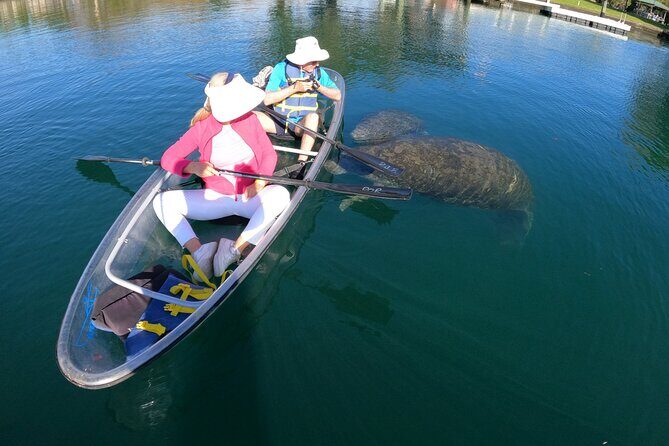 Clear Kayak Manatee Ecotour of Crystal River - Practical Tips for Travelers