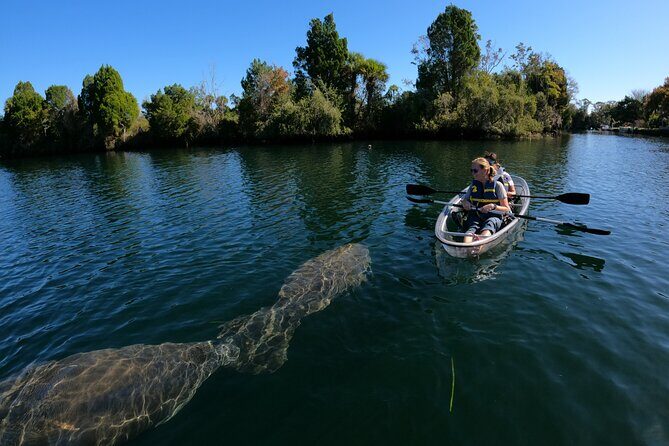 Clear Kayak Manatee Ecotour of Crystal River - FAQ
