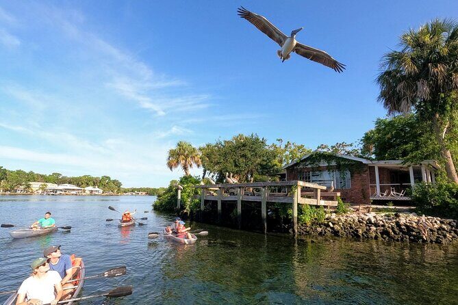 Clear Kayak Manatee Viewing Sunset and Glow Tour of Crystal River - An In-Depth Look at the Clear Kayak Manatee Viewing Sunset and Glow Tour of Crystal River