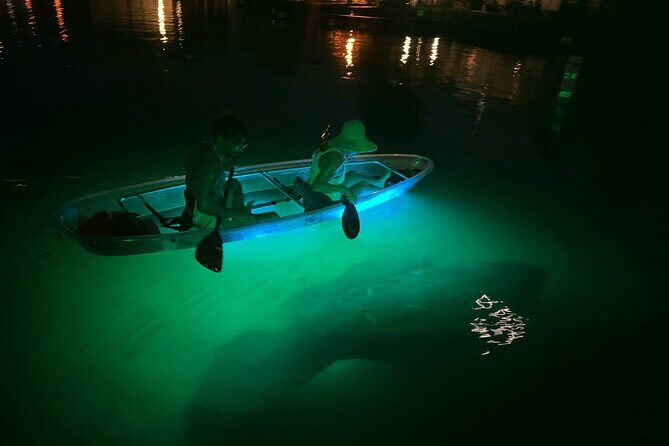Clear Kayak Manatee Viewing Sunset and Glow Tour of Crystal River - What Past Travelers Say