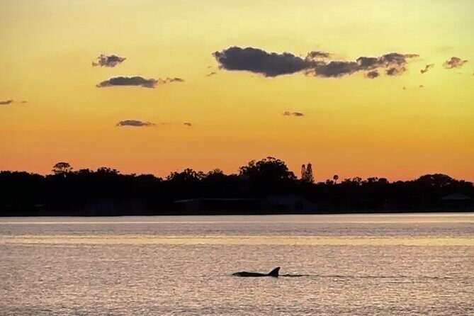 Clear Kayak Manatee Viewing Sunset and Glow Tour of Crystal River - Who Should Consider This Tour?