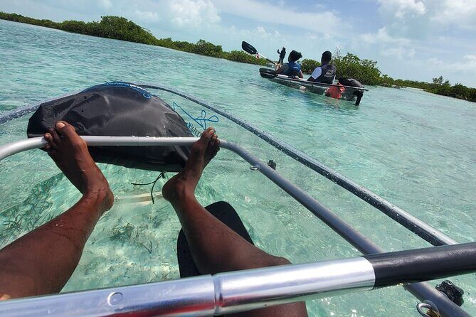 Clear Kayak Mangrove Eco Tour - FAQ: Your Questions Answered