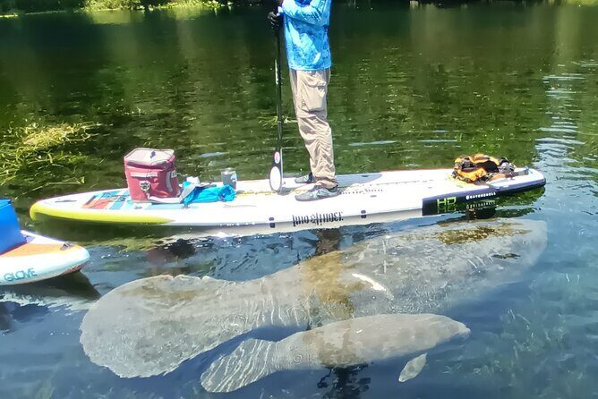 Clear Kayak or Paddleboard Manatee Adventure - FAQ