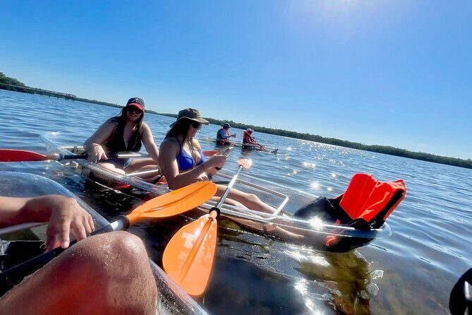 Clear Kayak Private Guided Day and Night Tours in Florida - Key Points