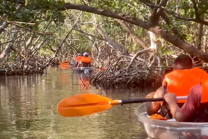 Clear Kayak Private Guided Day and Night Tours in Florida - Final Thoughts: Is It Worth It?