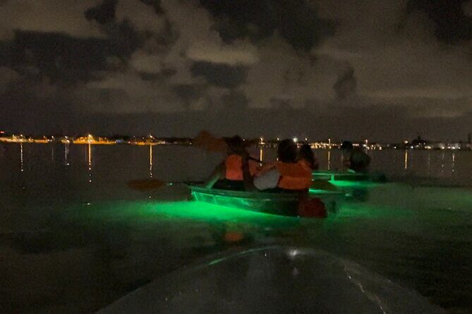 Clear Kayak Private Guided Day and Night Tours in Florida - Who Should Consider This Tour?