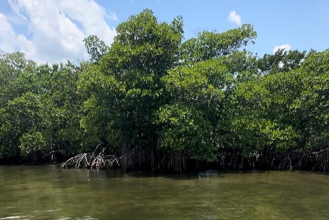 Clear Kayak RentalPeanut Island/West Palm Beach - FAQ