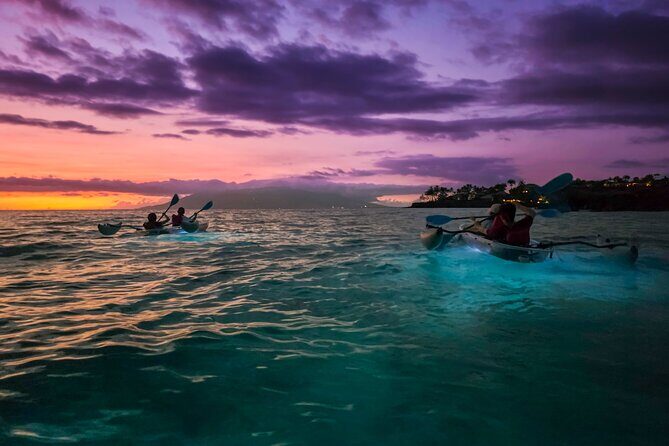 Clear Kayak Sunset and Glow Tour in Maui - A Closer Look at the Experience