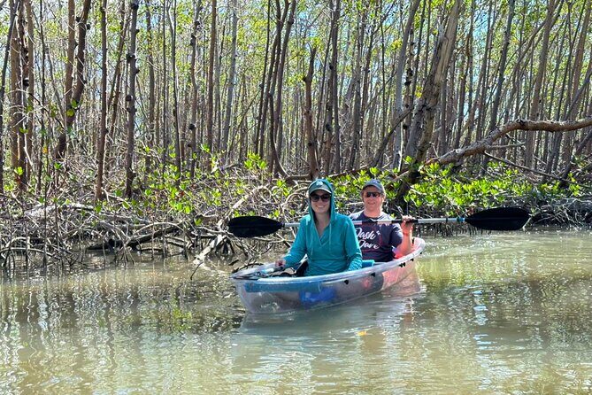 CLEAR Kayak Sunset & Light Tour - Bonita Springs / Ft Myers Beach - Key Points