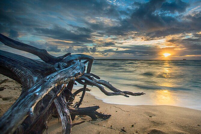 CLEAR Kayak Sunset & Light Tour - Bonita Springs / Ft Myers Beach - FAQs