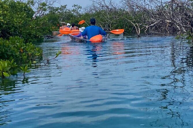 Clear Kayak Tour - What to Expect from the Clear Kayak Tour