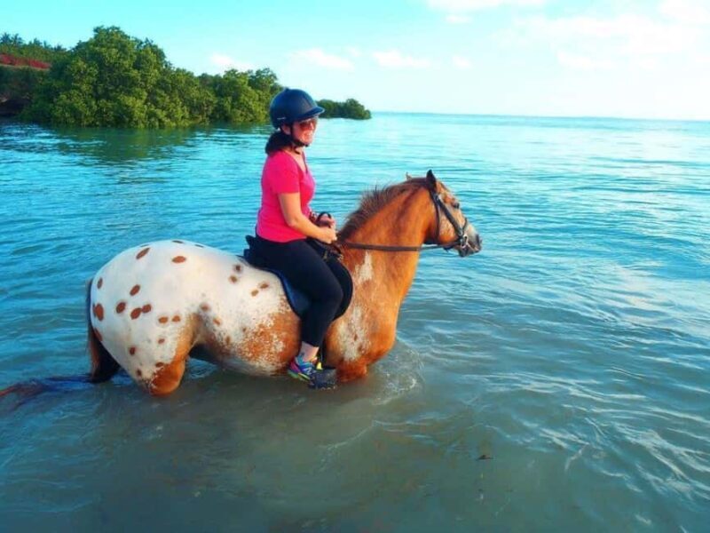 Clear Kayak Tour, Horseback Riding, Spice Tour, Lunch Break - FAQs