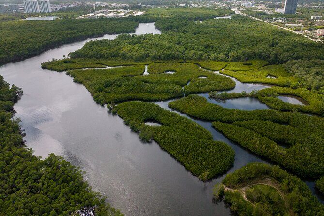 Clear Kayak Tour in North Miami Beach - Mangrove Tunnels - Who Will Enjoy This Tour?